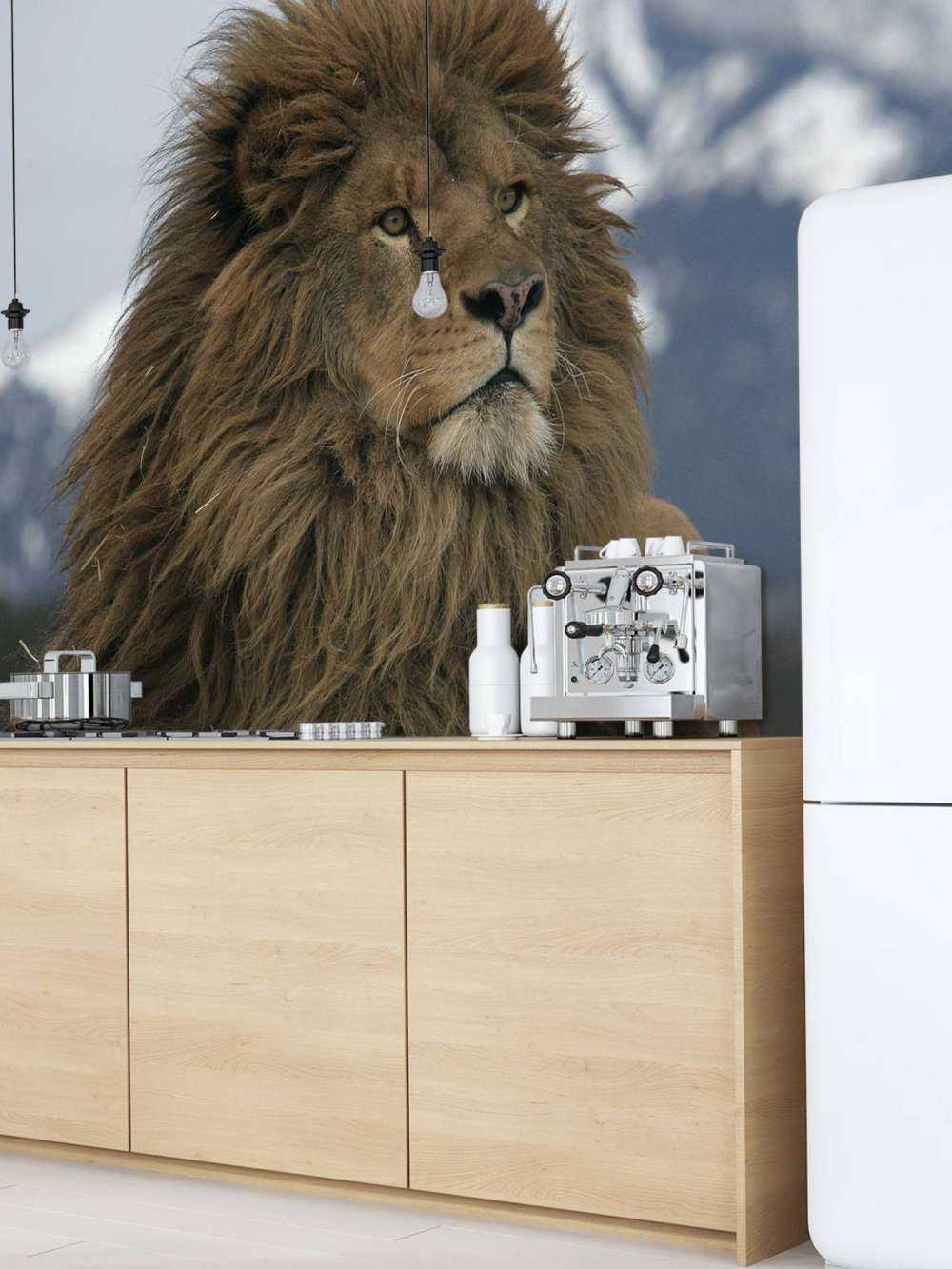 lion de Barbarie