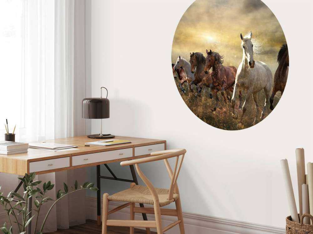 Chevaux au galop au coucher du soleil