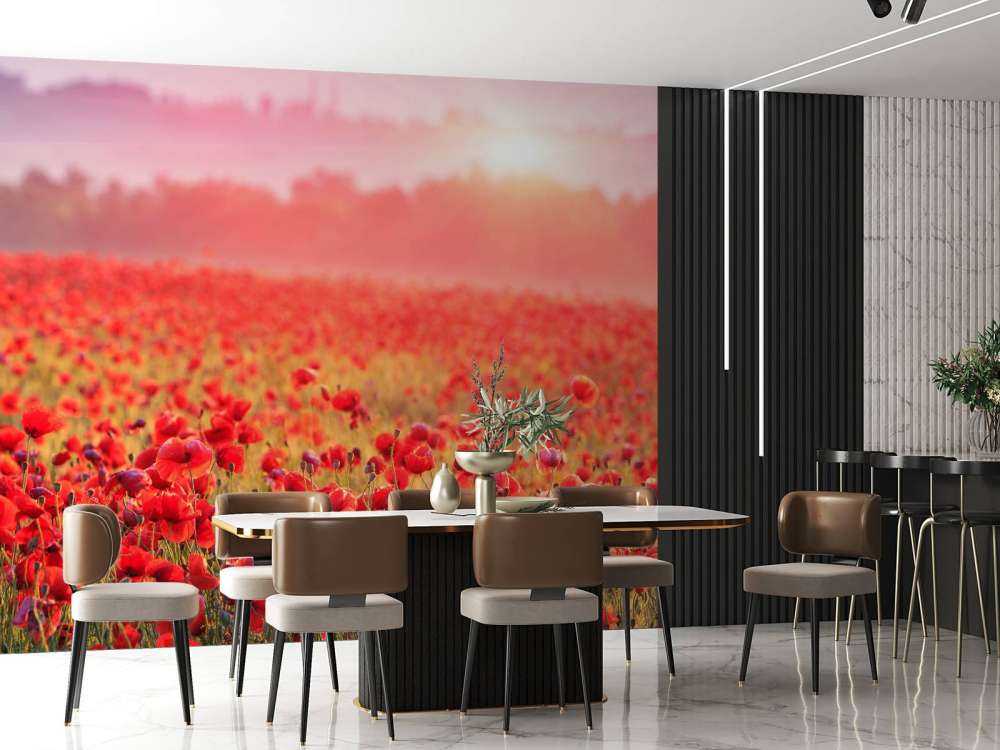 Champ plein de coquelicots