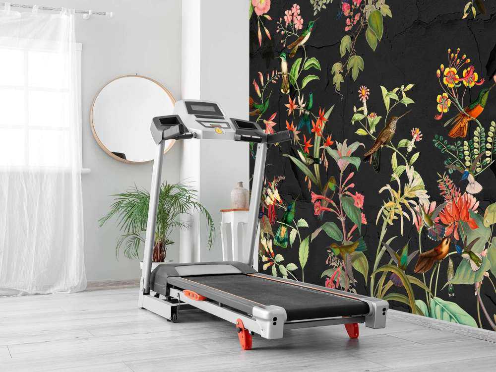 Jardin Exotique Noir