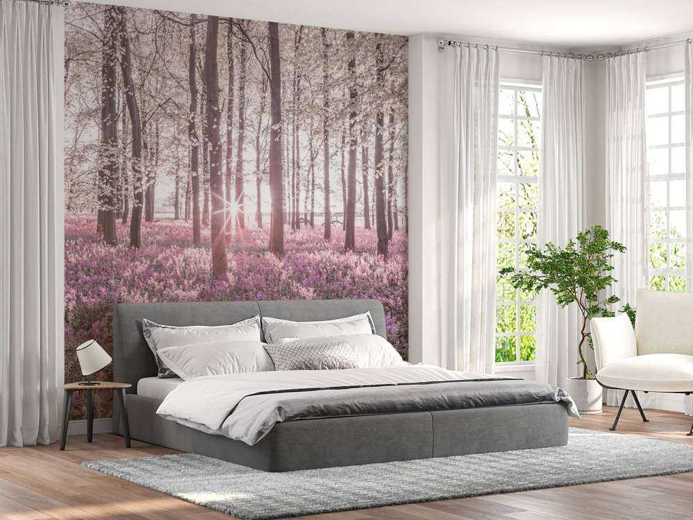 Forêt au printemps
