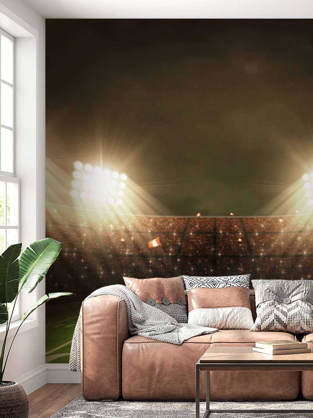 Stade de football américain
