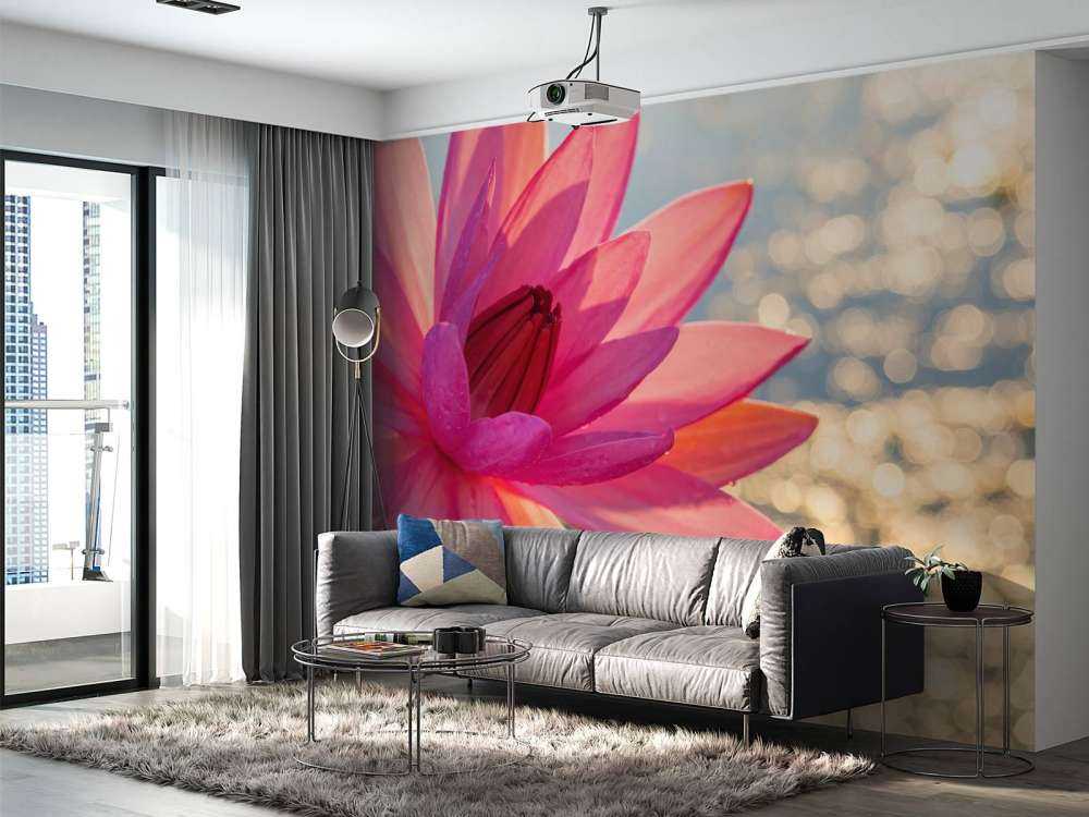 Fleur de lotus sur l'eau