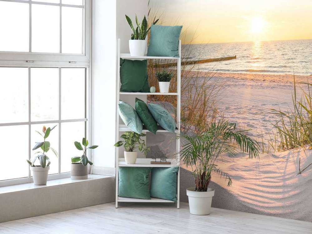 Plage de dunes avec coucher de soleil