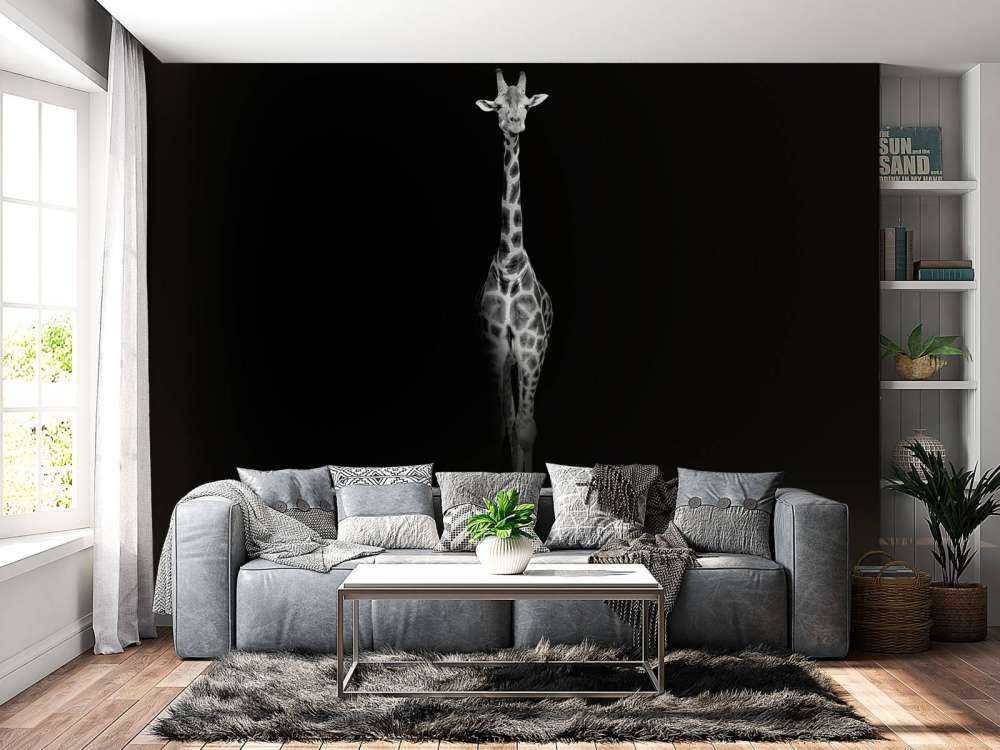 Girafe en noir et blanc