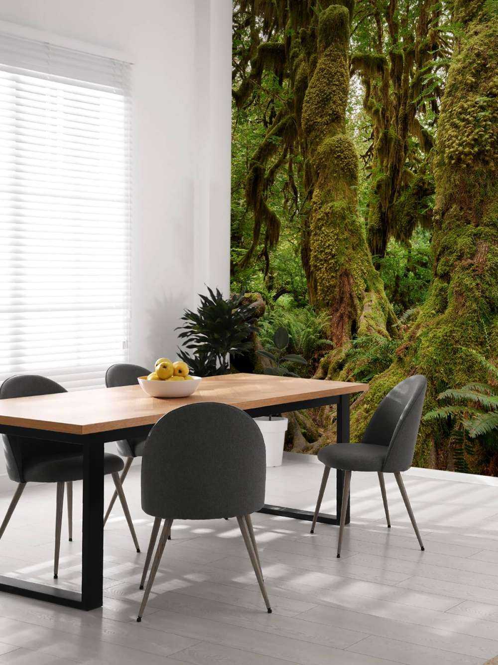 Arbres dans une forêt tropicale humide