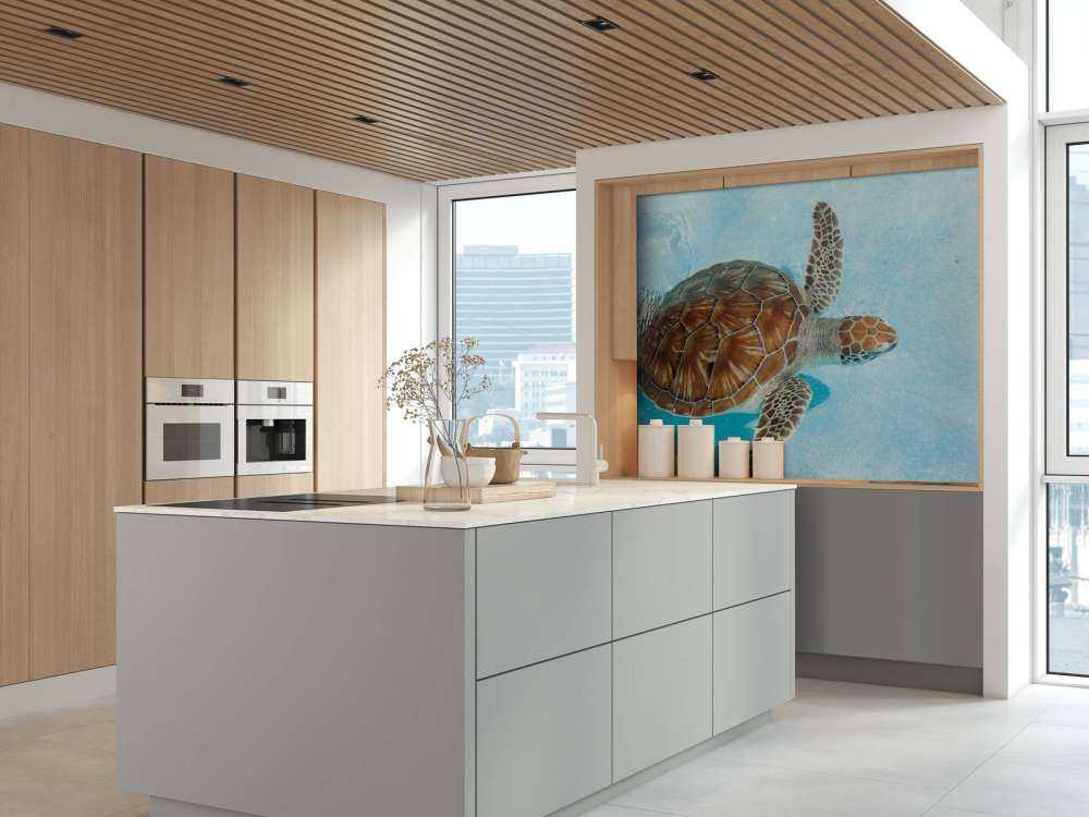 Une tortue dans l'eau