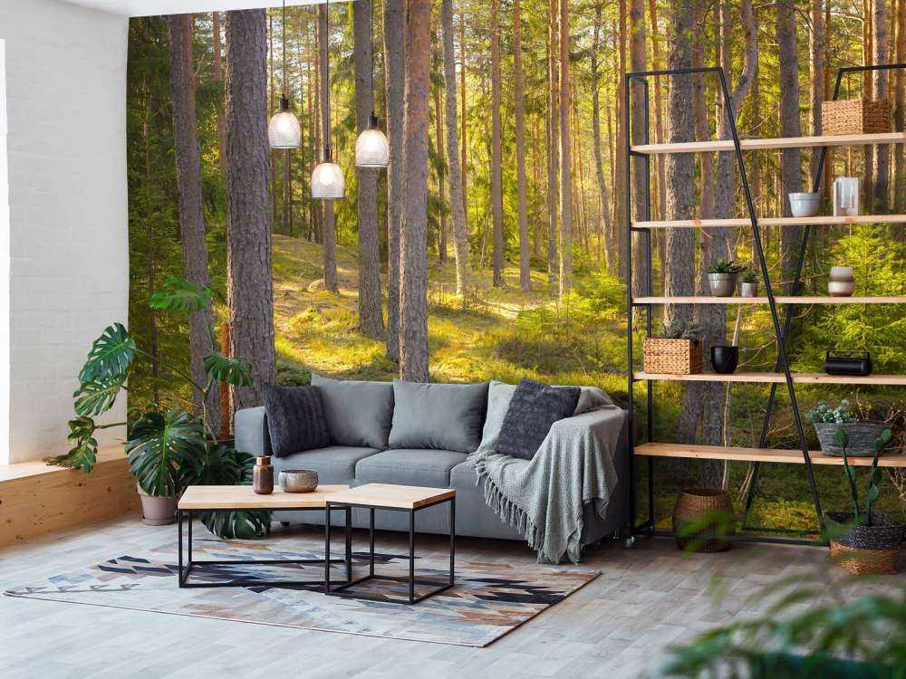 Forêt en été