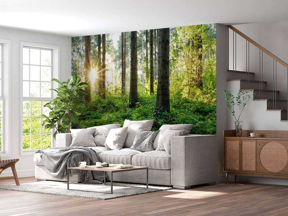 Panorama de la forêt au printemps
