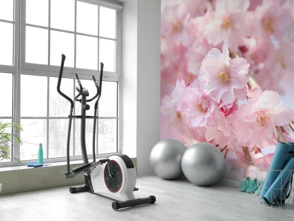 Gros plan sur des fleurs roses