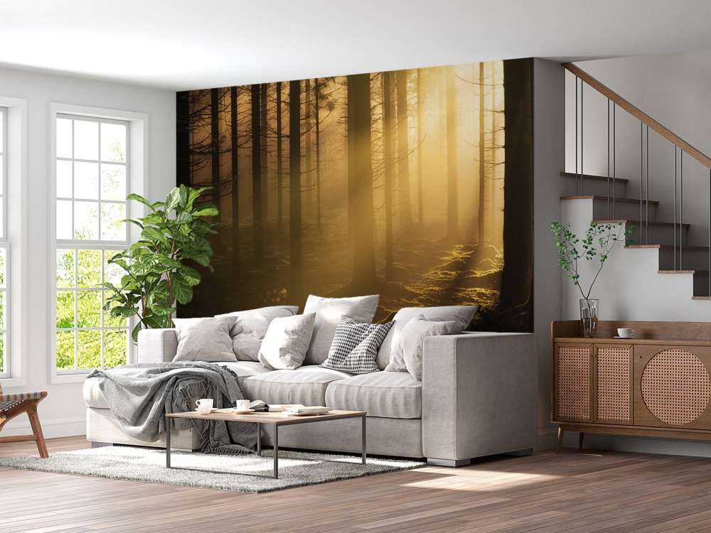Forêt sombre d'automne