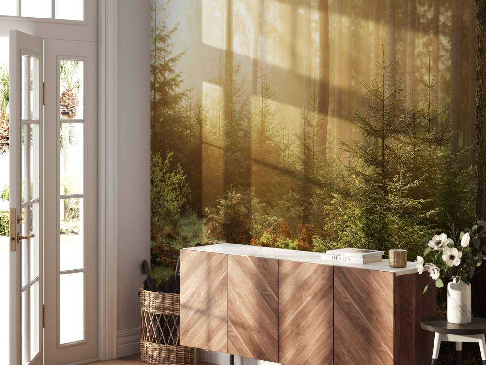 Rayons de soleil à travers la forêt