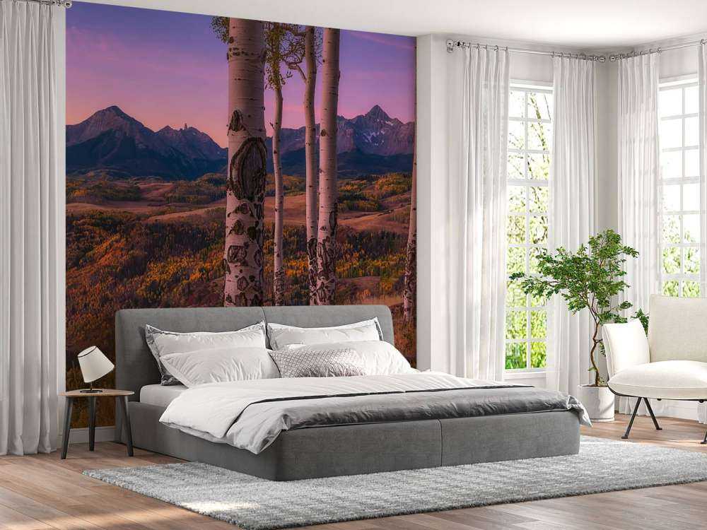 Aspen Frames