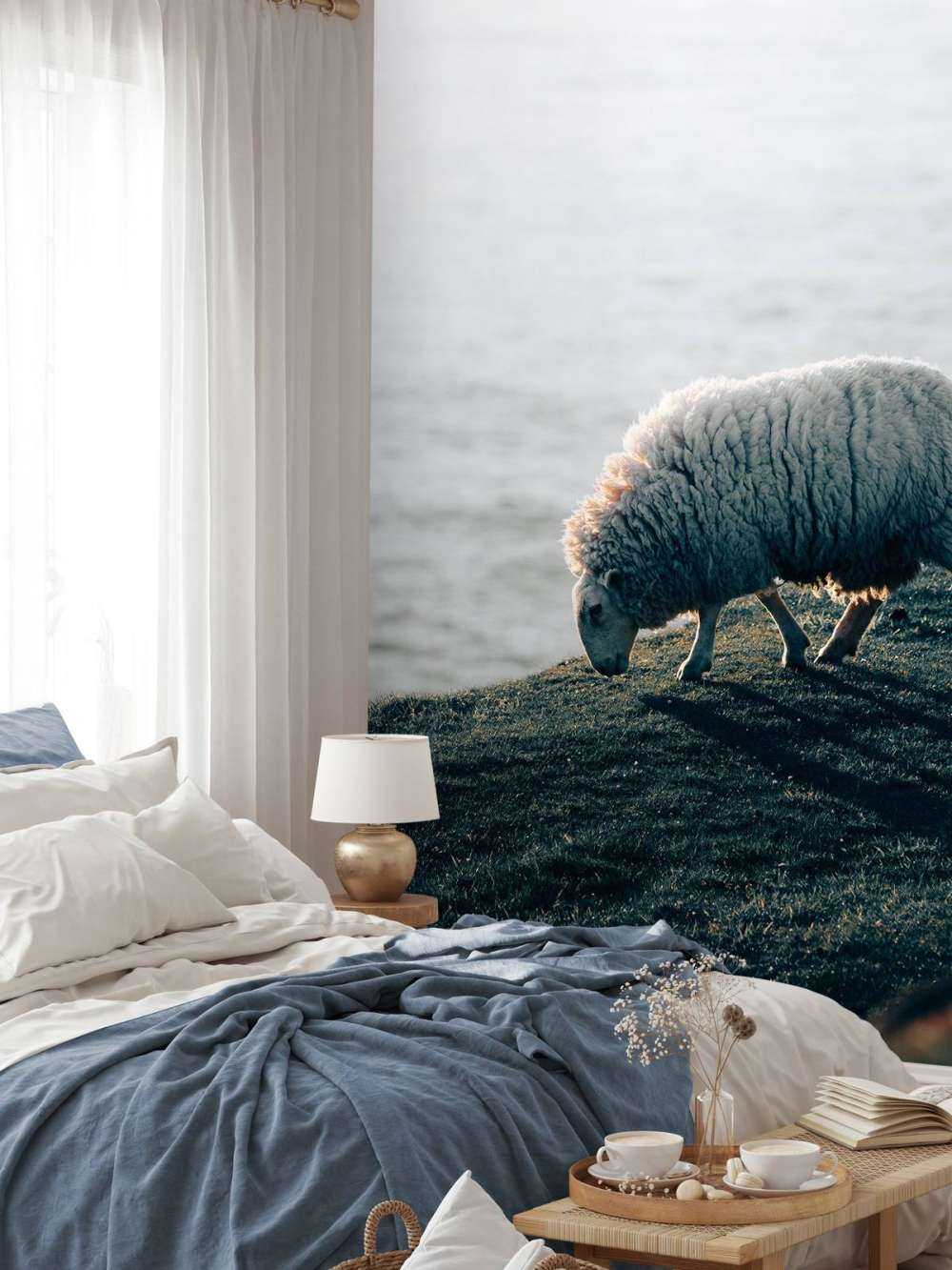 Moutons au pâturage