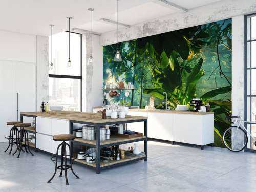 Une jungle mystérieuse