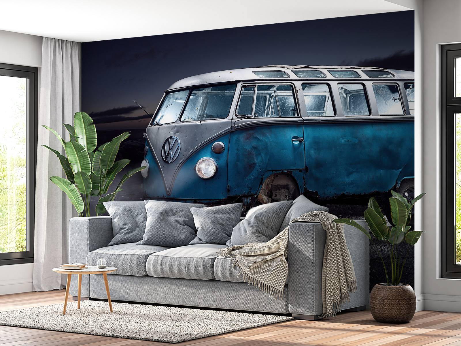 Camionette VW