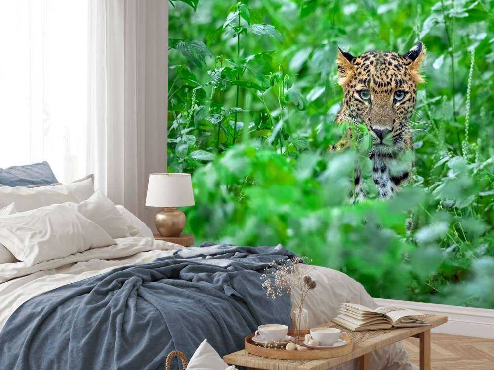 Léopard dans la forêt
