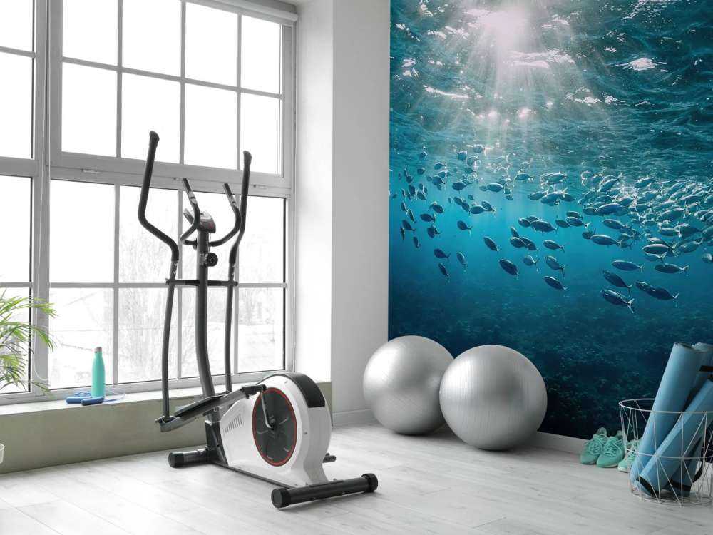 Banc de poissons