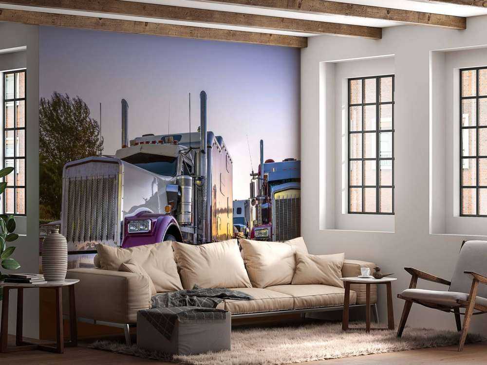 Camions classiques