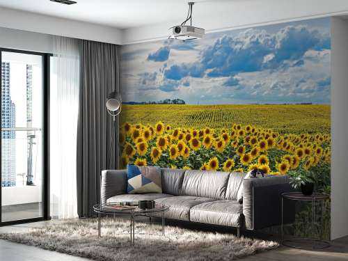 Une prairie pleine de tournesols