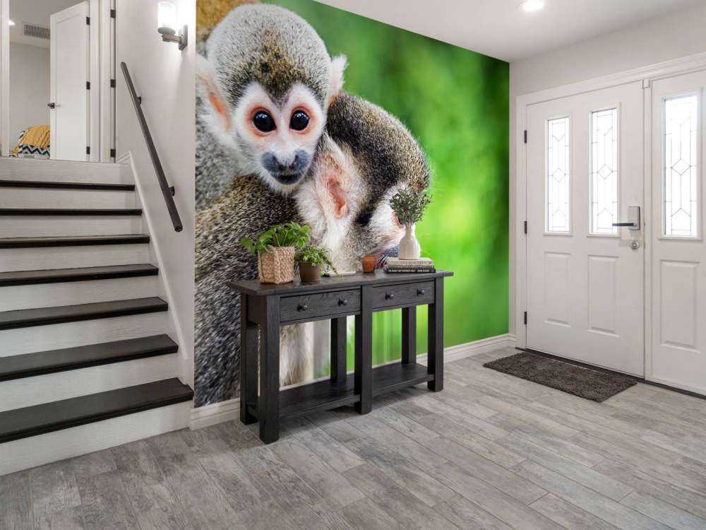 Singes écureuils