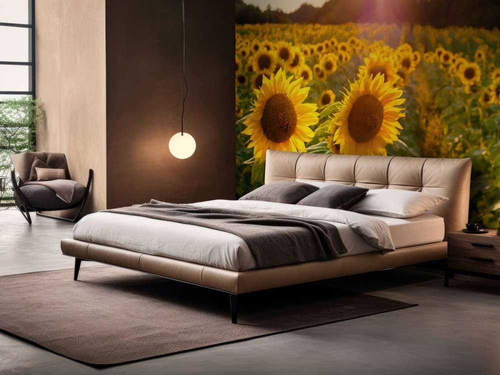 Ferme de tournesols