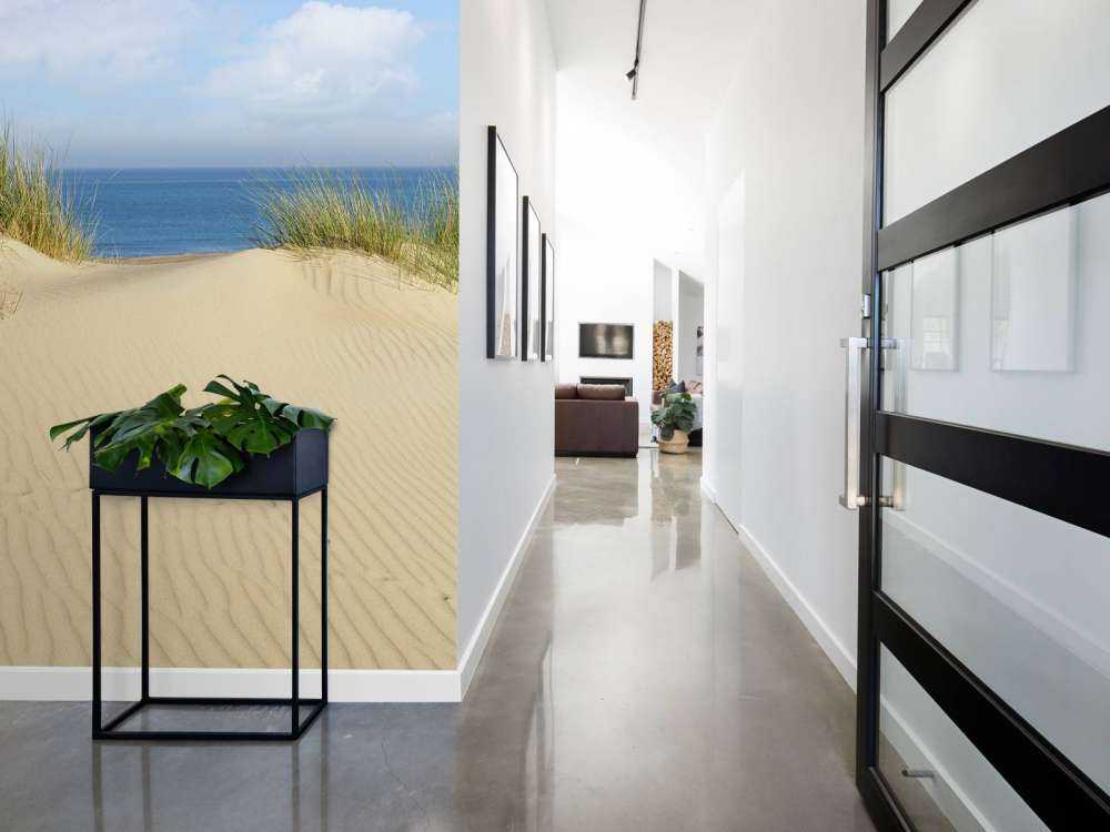 Passage des dunes vers la plage