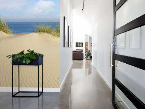 Passage des dunes vers la plage