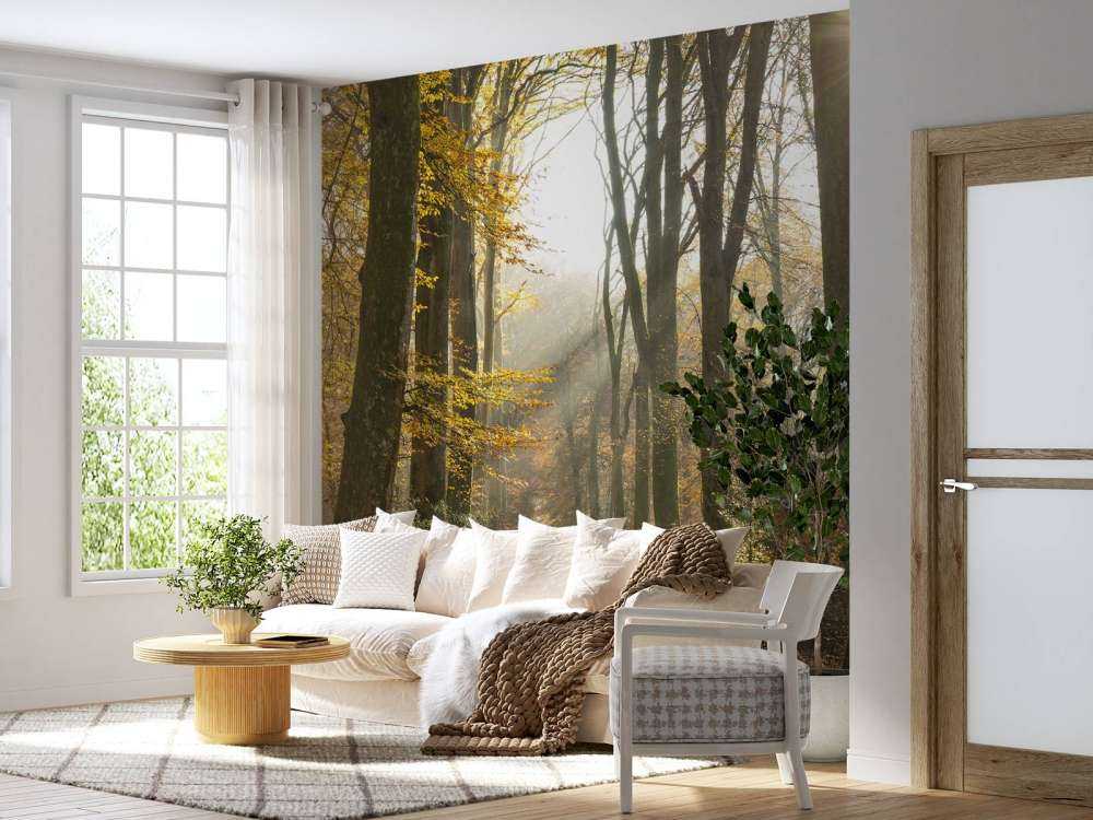 La forêt de Crécy