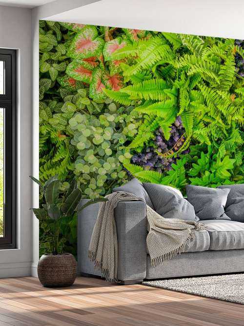 Mélange de plantes