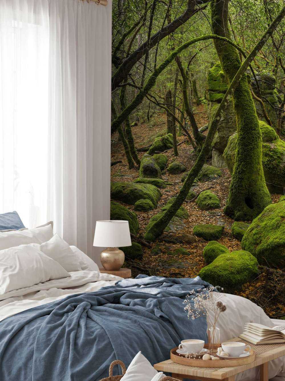 Arbres et mousses