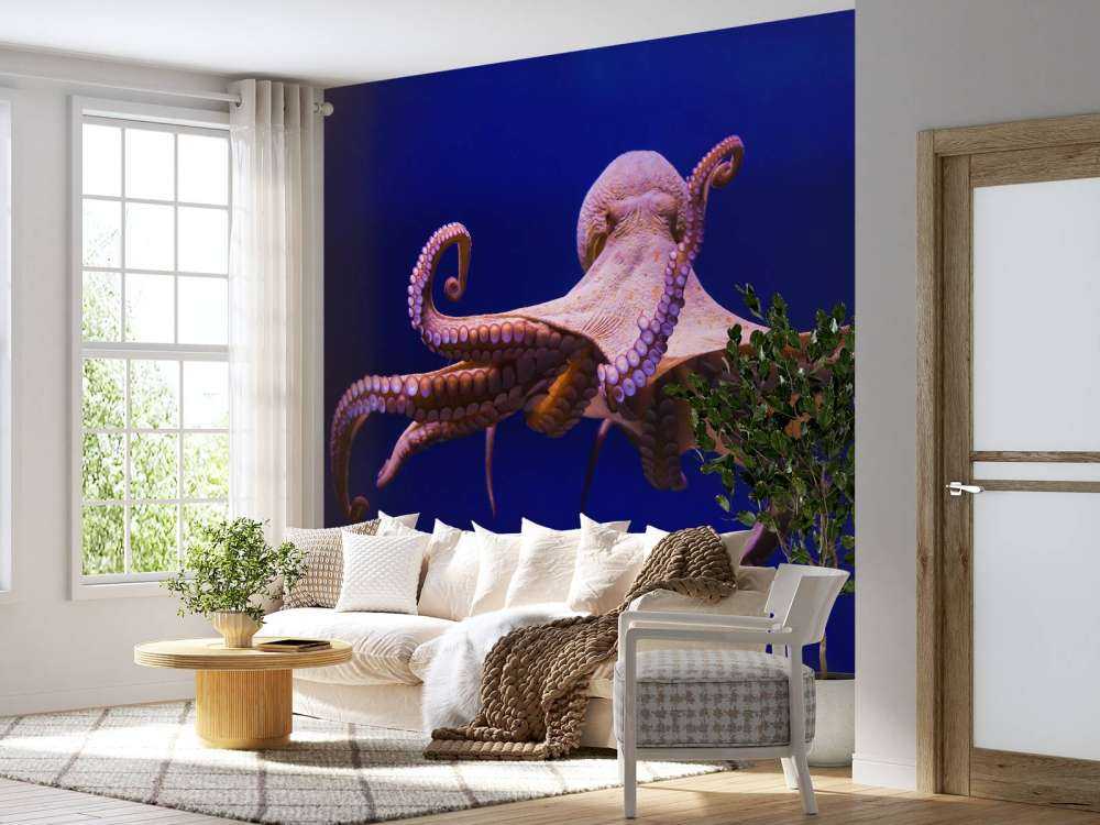 Pieuvre