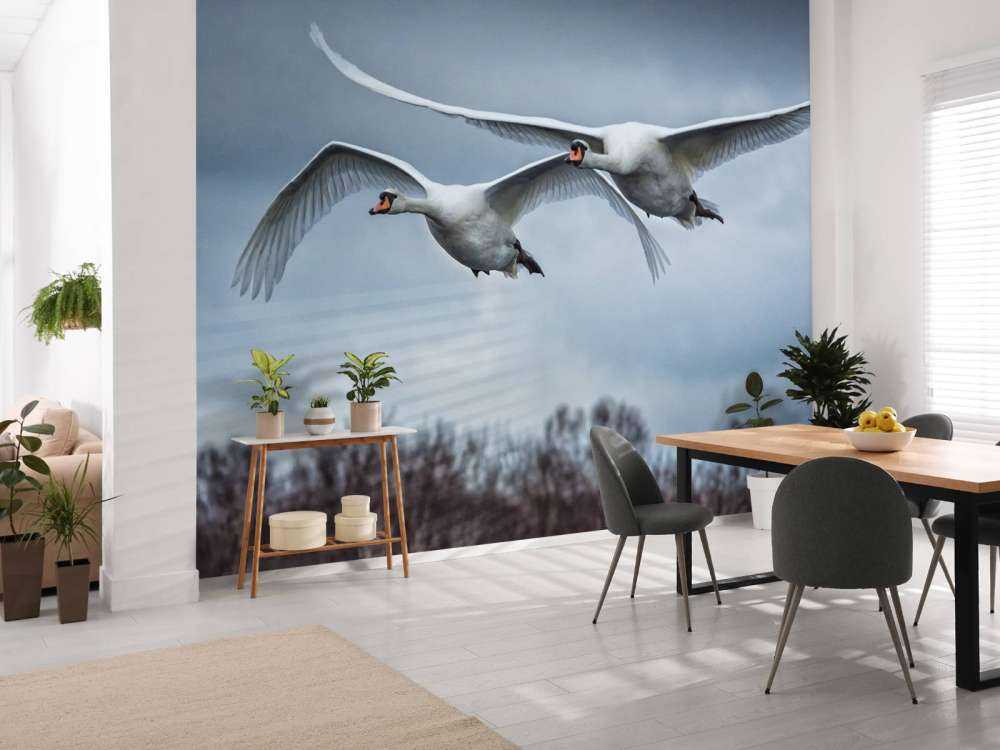 Cygne volant