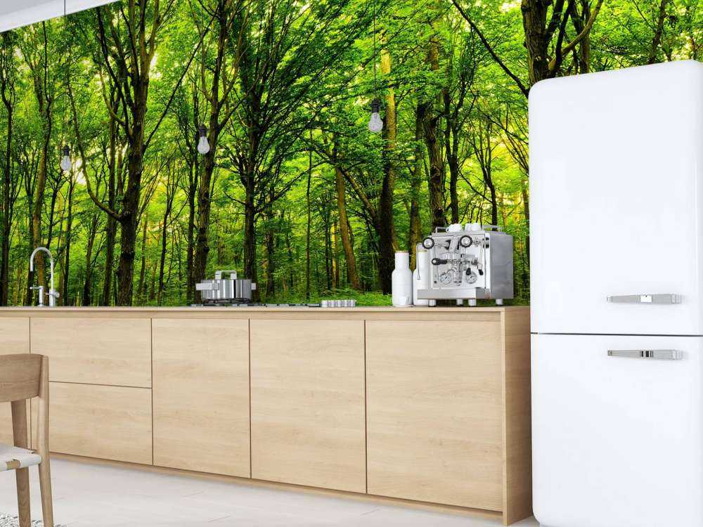 Forêt luxuriante