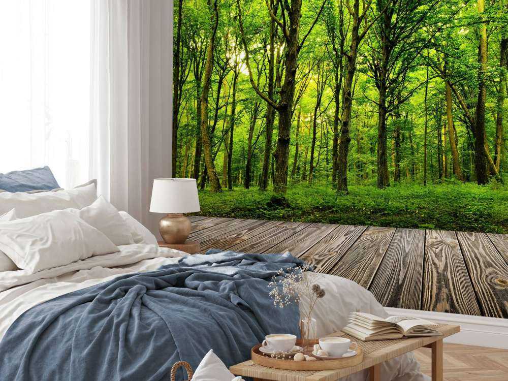 Forêt luxuriante