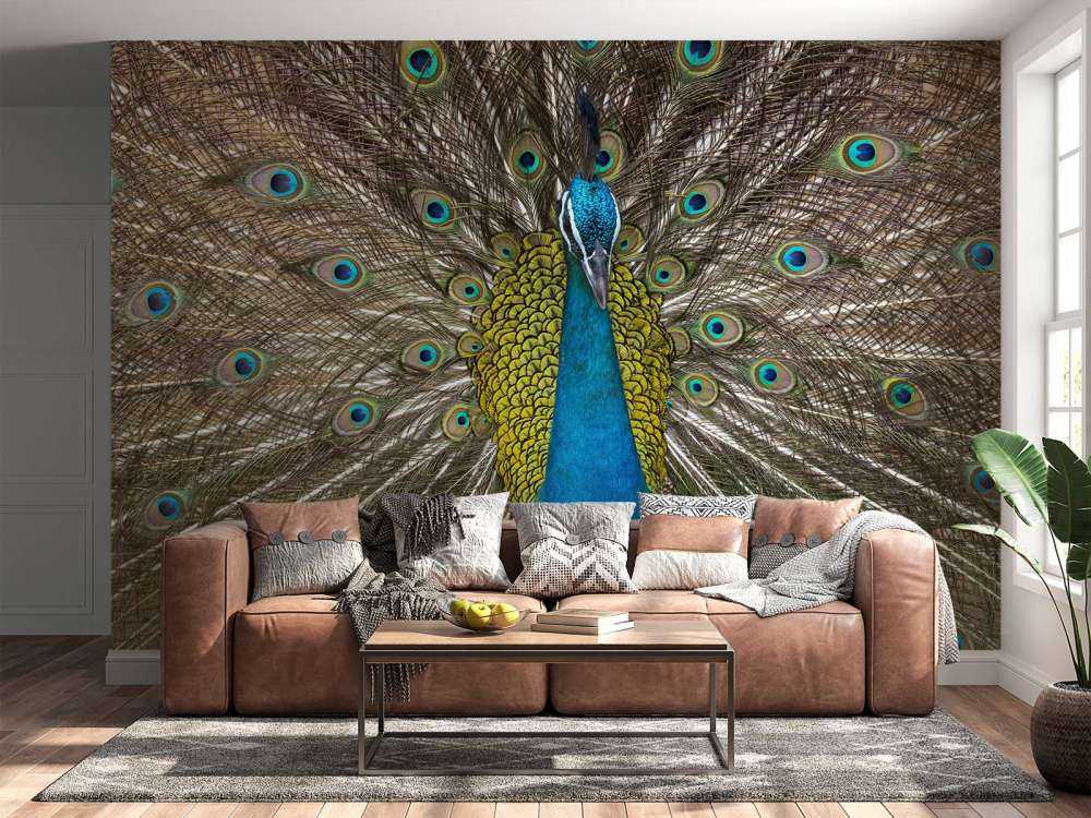 Paon aux plumes farcies