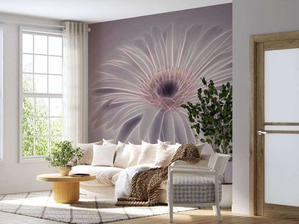 Gerbera