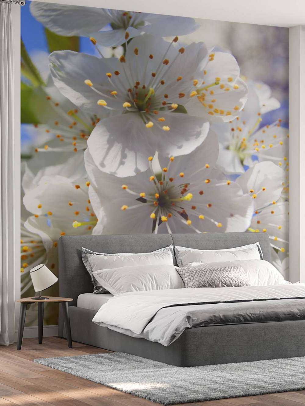 Gros plan sur des fleurs blanches