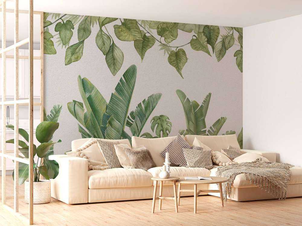 Plantes de la jungle tropicale