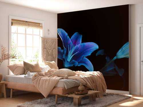 Fleurs ultraviolettes