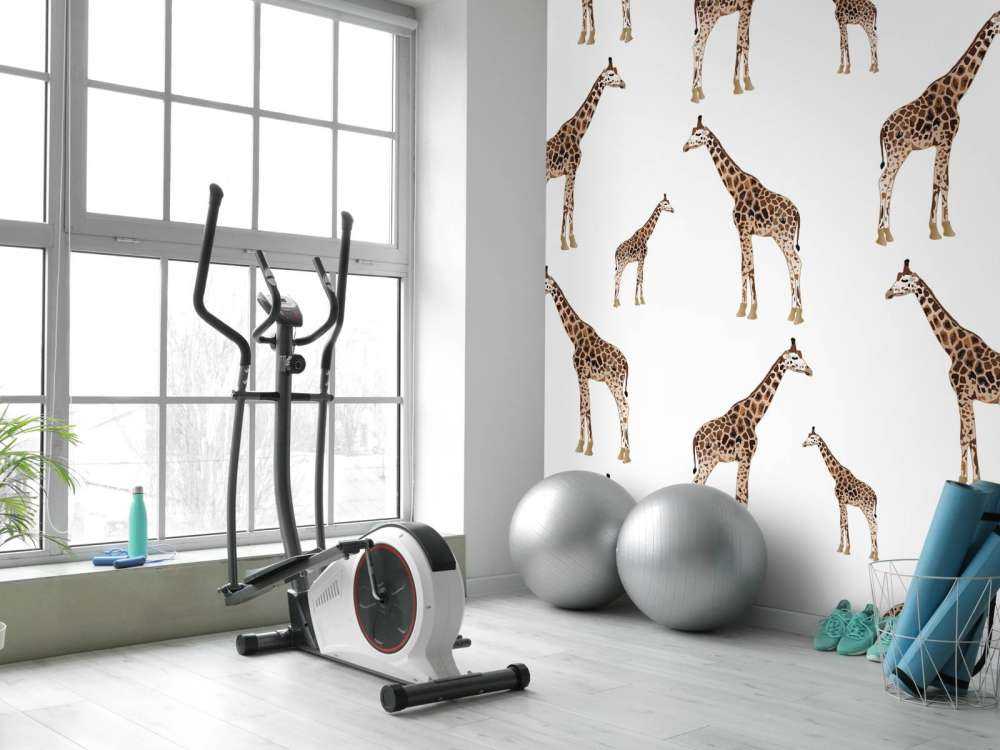 Girafes