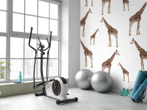 Girafes