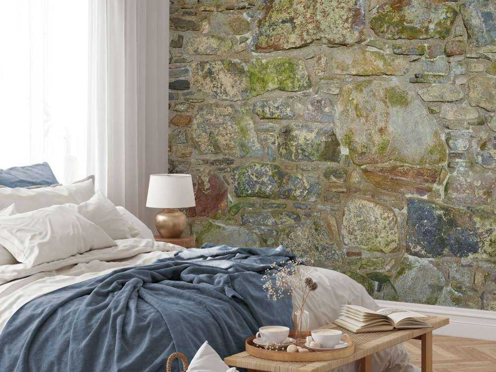 Vieux mur avec mousse