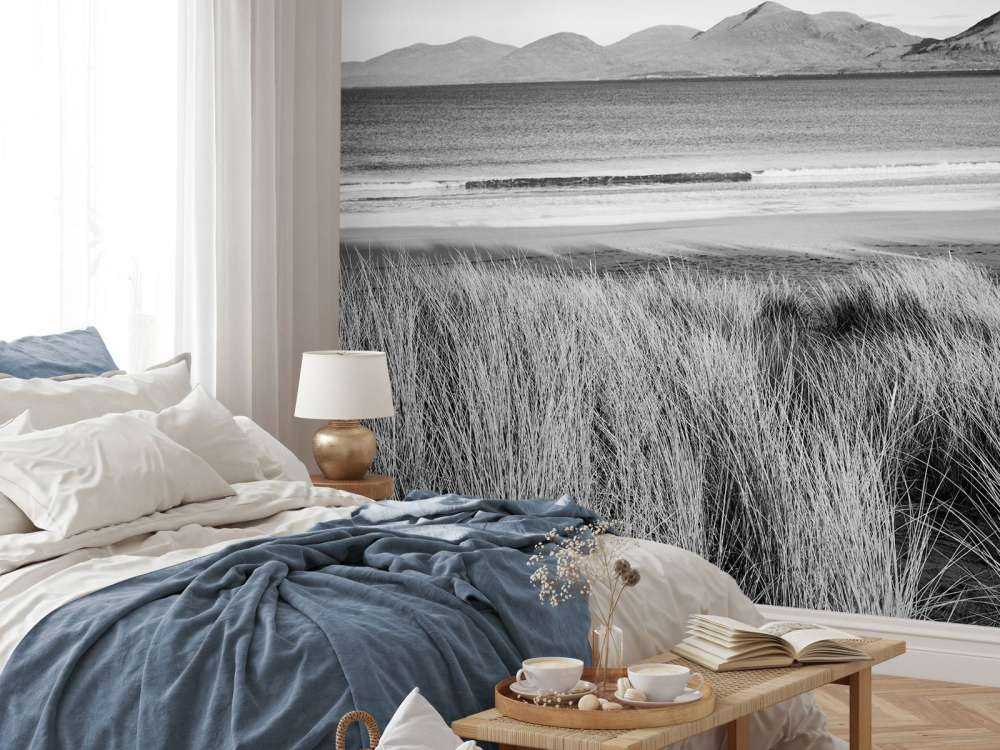 L'herbe de dunes, plage en montagne