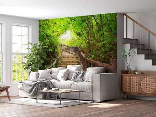Escalier en forêt