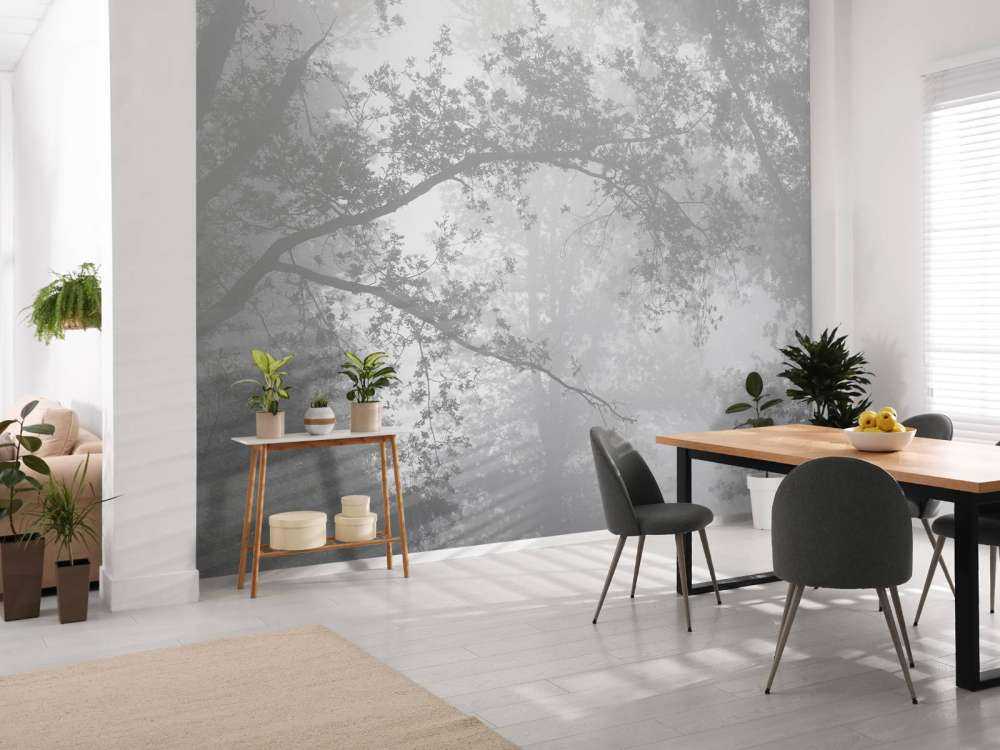 Forêt dans la brume