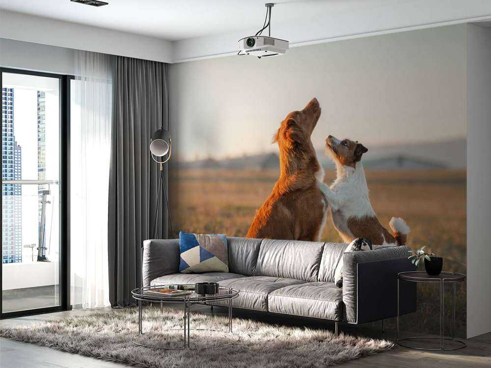 Recherche de chiens