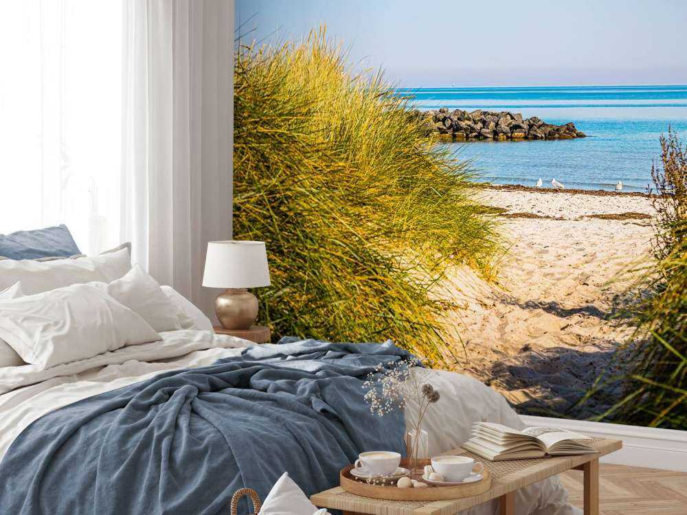 Plage au bord de la mer Baltique