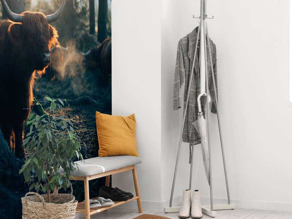 Le Highlander écossais au lever du soleil