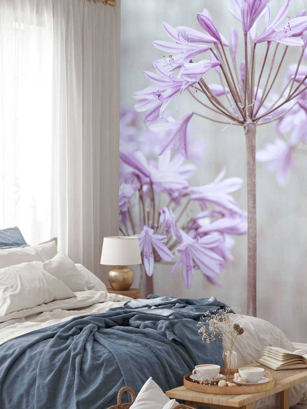 African Lilies
